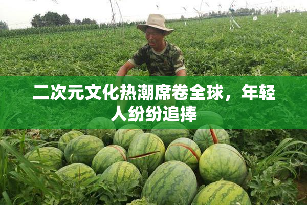 二次元文化热潮席卷全球，年轻人纷纷追捧