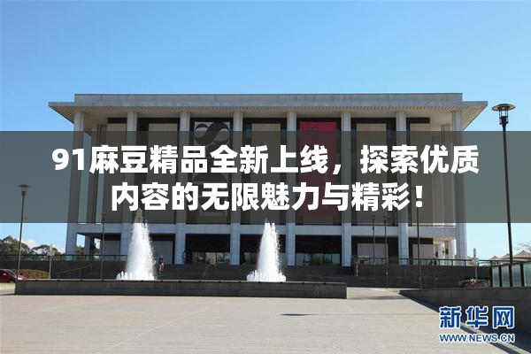 91麻豆精品全新上线，探索优质内容的无限魅力与精彩！