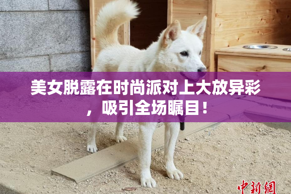 美女脱露在时尚派对上大放异彩，吸引全场瞩目！