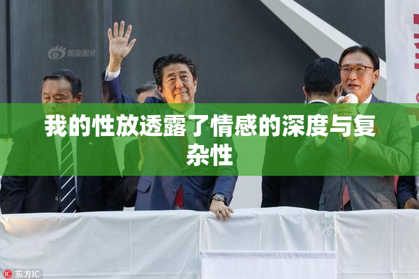 我的性放透露了情感的深度与复杂性