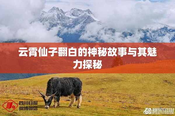 云霄仙子翻白的神秘故事与其魅力探秘