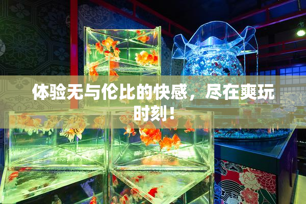 体验无与伦比的快感，尽在爽玩时刻！