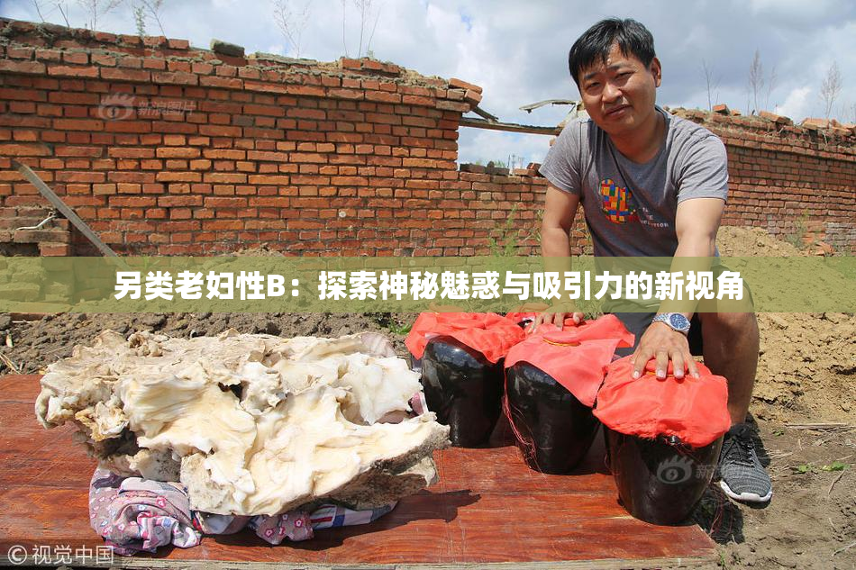 另类老妇性B：探索神秘魅惑与吸引力的新视角