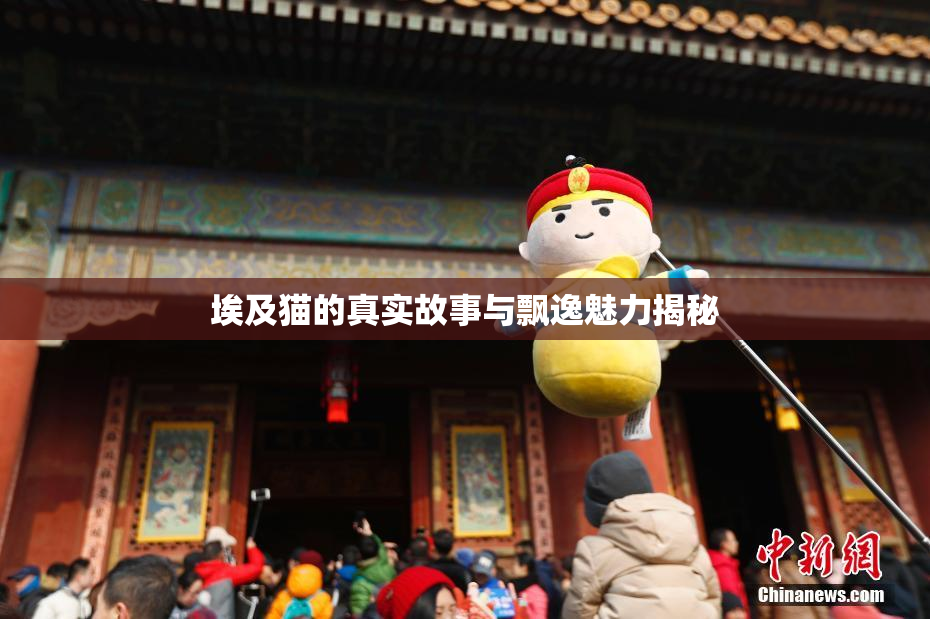 埃及猫的真实故事与飘逸魅力揭秘