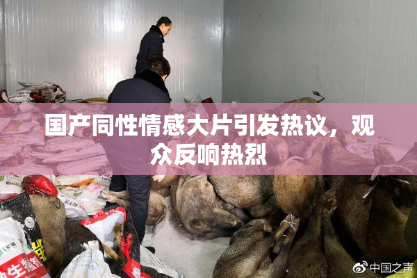 国产同性情感大片引发热议，观众反响热烈
