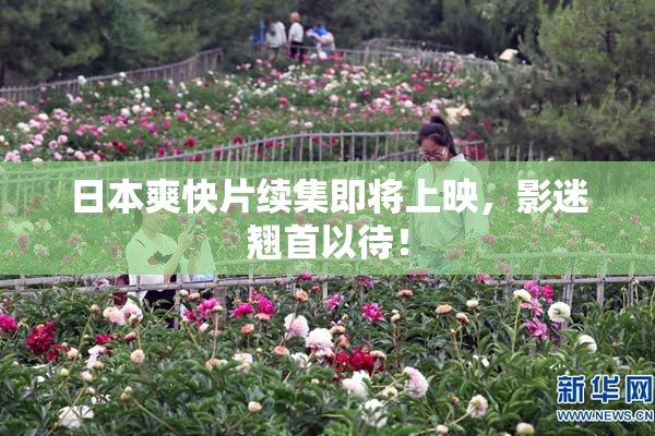 日本爽快片续集即将上映，影迷翘首以待！