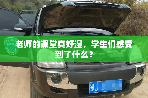老师的课堂真好湿，学生们感受到了什么？