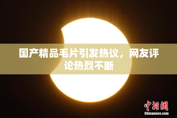 国产精品毛片引发热议，网友评论热烈不断