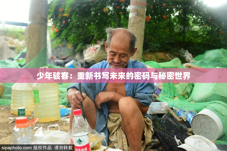 少年骇客：重新书写未来的密码与秘密世界