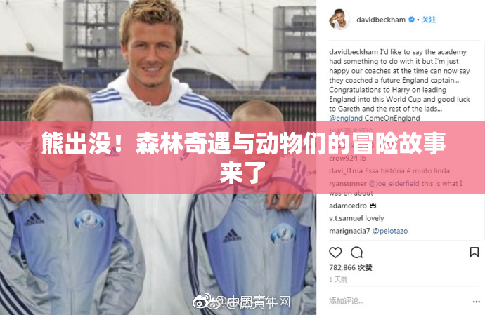 熊出没！森林奇遇与动物们的冒险故事来了