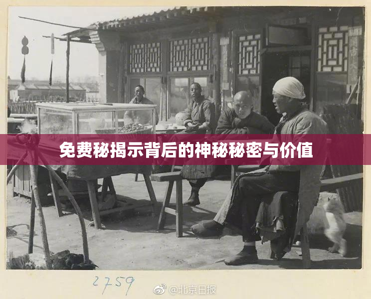 免费秘揭示背后的神秘秘密与价值