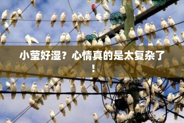 小莹好湿？心情真的是太复杂了！