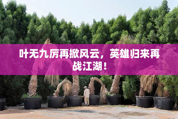 叶无九厉再掀风云，英雄归来再战江湖！