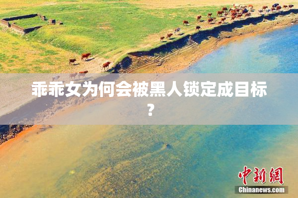 乖乖女为何会被黑人锁定成目标？