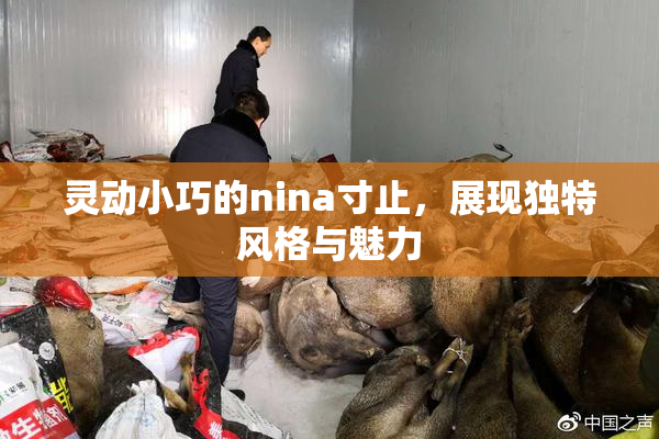 灵动小巧的nina寸止，展现独特风格与魅力