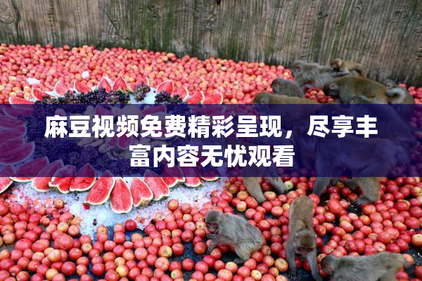 麻豆视频免费精彩呈现，尽享丰富内容无忧观看