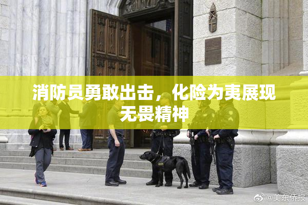 消防员勇敢出击，化险为夷展现无畏精神