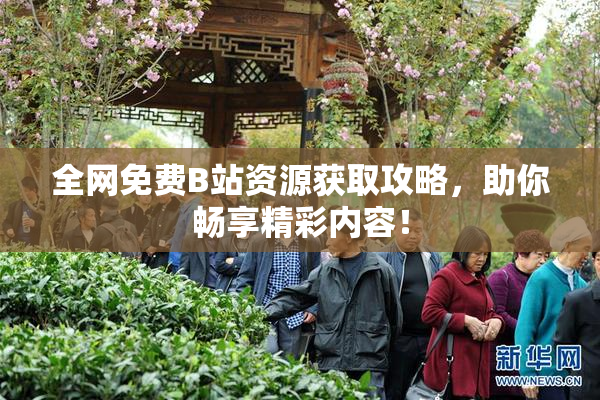 全网免费B站资源获取攻略，助你畅享精彩内容！