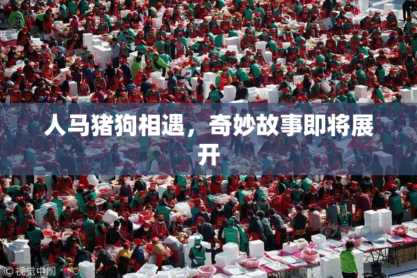 人马猪狗相遇，奇妙故事即将展开
