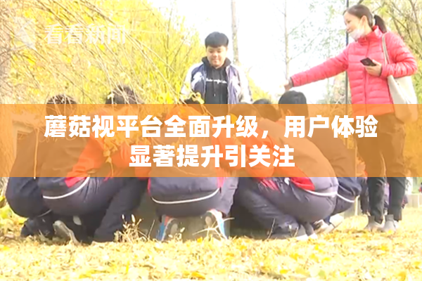 蘑菇视平台全面升级，用户体验显著提升引关注