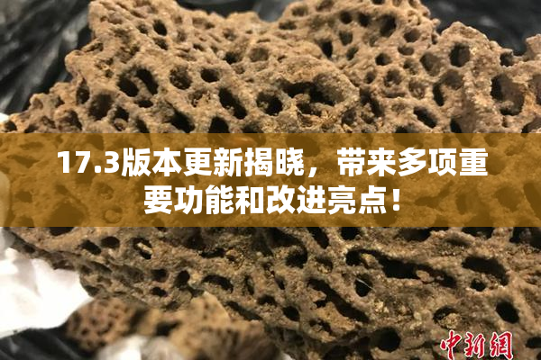 17.3版本更新揭晓，带来多项重要功能和改进亮点！