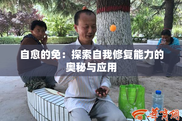 自愈的免：探索自我修复能力的奥秘与应用