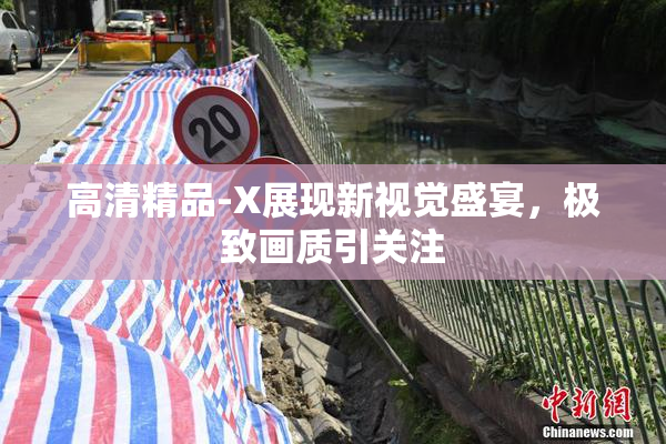 高清精品-X展现新视觉盛宴，极致画质引关注