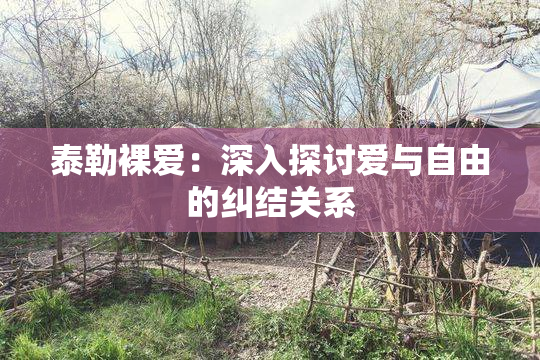 泰勒裸爱：深入探讨爱与自由的纠结关系
