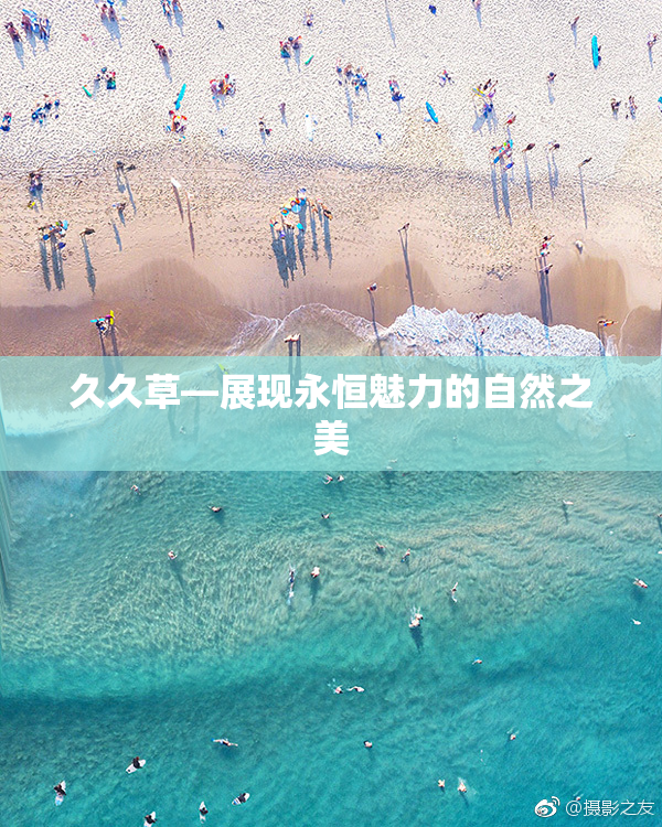 久久草—展现永恒魅力的自然之美