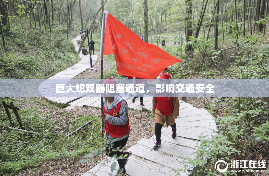 巨大蛇双器阻塞通道，影响交通安全