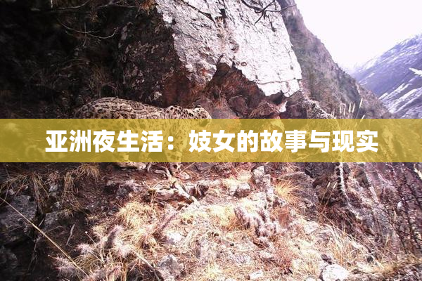 亚洲夜生活：妓女的故事与现实