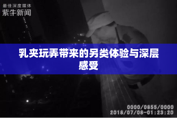 乳夹玩弄带来的另类体验与深层感受