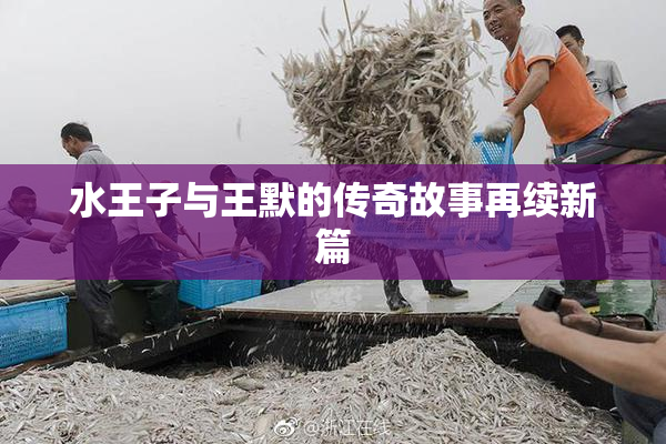水王子与王默的传奇故事再续新篇