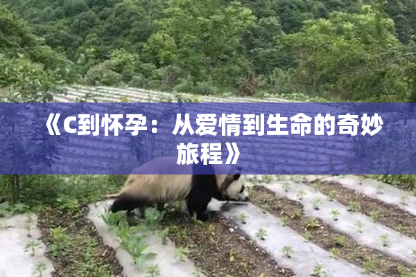 《C到怀孕：从爱情到生命的奇妙旅程》