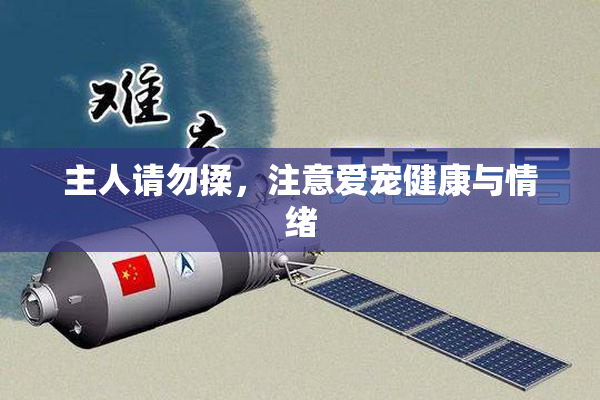 主人请勿揉，注意爱宠健康与情绪
