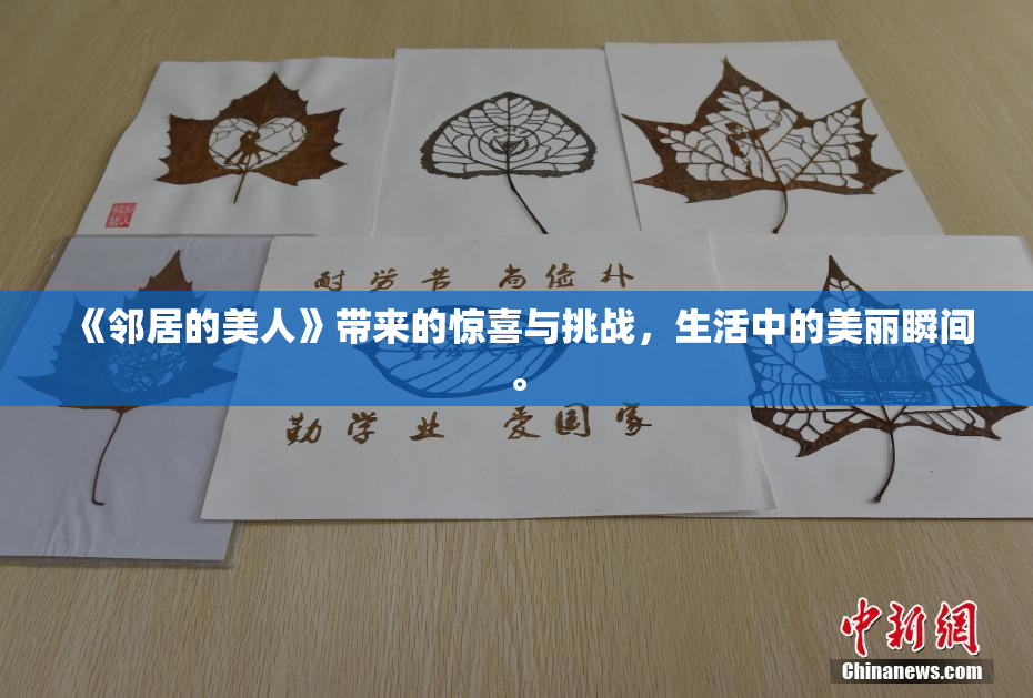《邻居的美人》带来的惊喜与挑战，生活中的美丽瞬间。