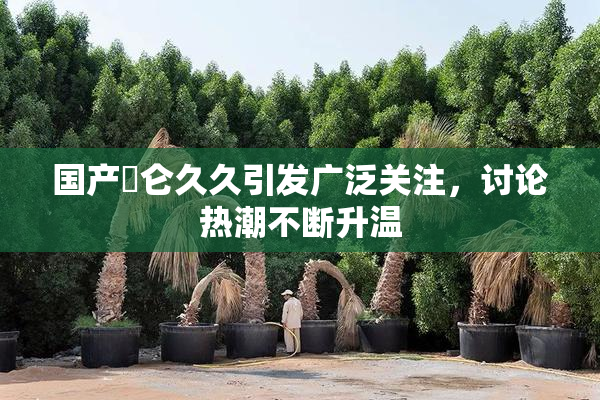 国产婬仑久久引发广泛关注，讨论热潮不断升温