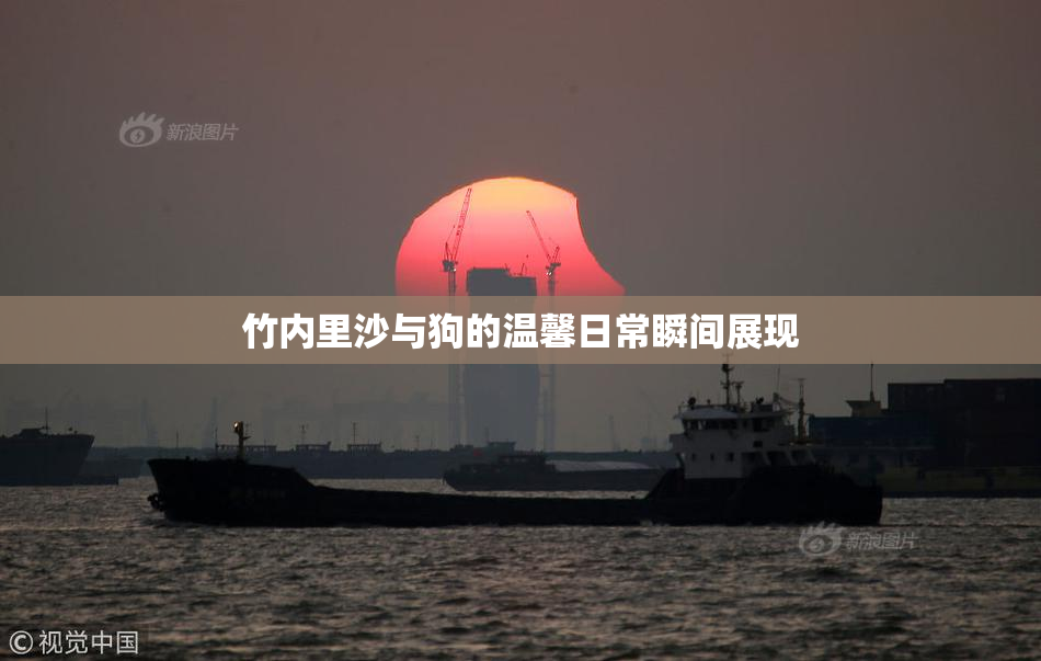 竹内里沙与狗的温馨日常瞬间展现