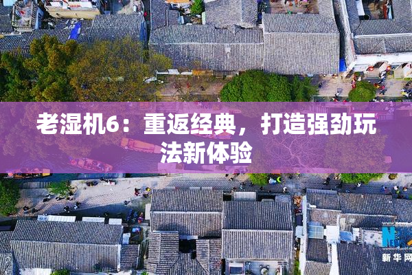 老湿机6：重返经典，打造强劲玩法新体验