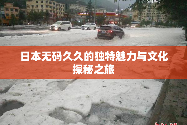 日本无码久久的独特魅力与文化探秘之旅