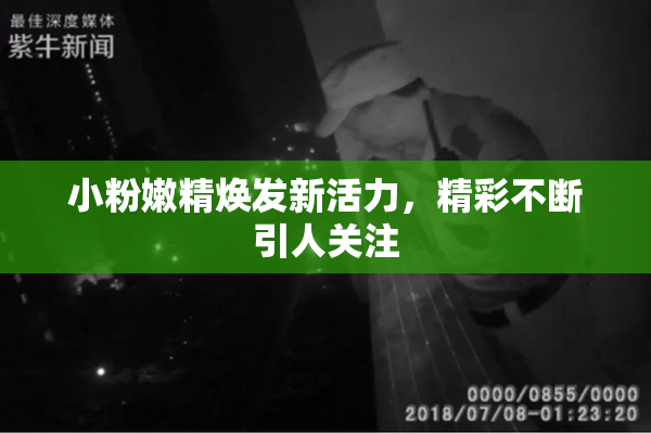 小粉嫩精焕发新活力，精彩不断引人关注