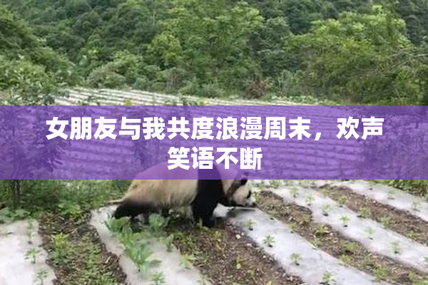 女朋友与我共度浪漫周末，欢声笑语不断