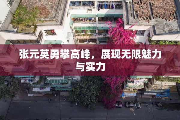 张元英勇攀高峰，展现无限魅力与实力