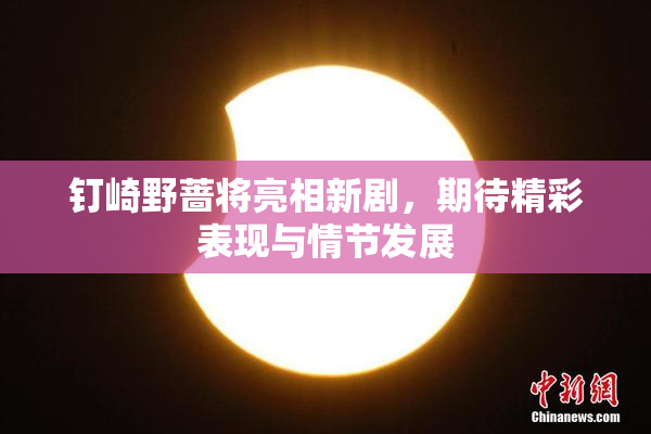 钉崎野蔷将亮相新剧，期待精彩表现与情节发展