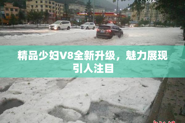 精品少妇V8全新升级，魅力展现引人注目
