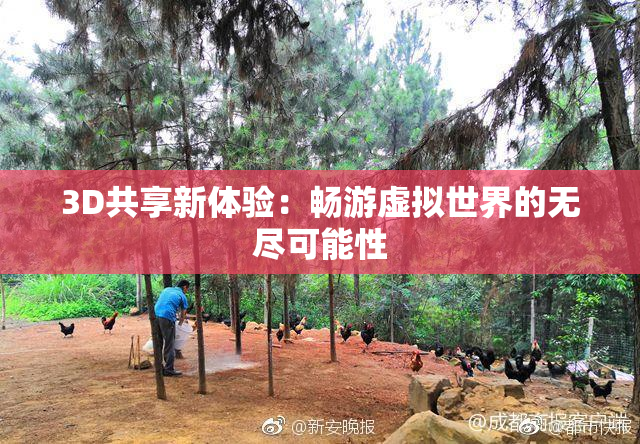 3D共享新体验：畅游虚拟世界的无尽可能性