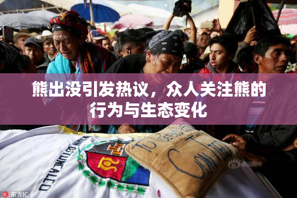 熊出没引发热议，众人关注熊的行为与生态变化