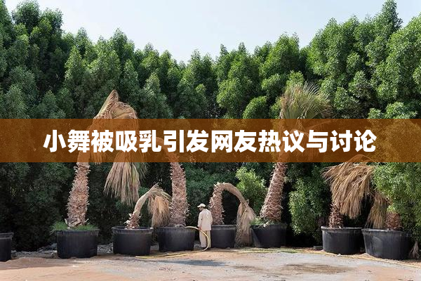 小舞被吸乳引发网友热议与讨论
