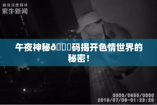 午夜神秘🈚码揭开色情世界的秘密！