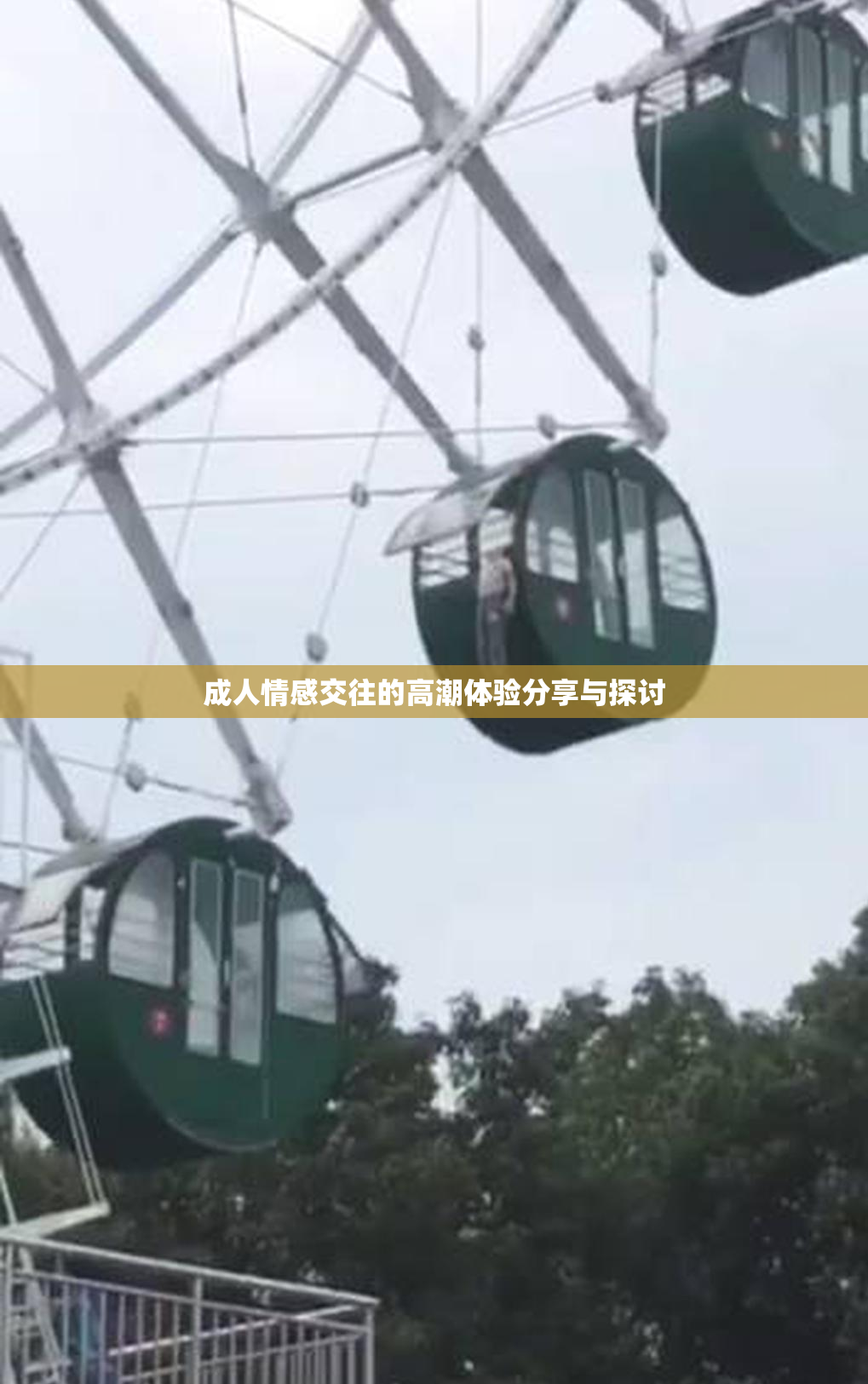 成人情感交往的高潮体验分享与探讨